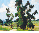 Path Through the Trees<br><small>Dedrick Brandes Stuber
