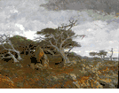 Pebble Beach<br><small>Detlef Sammann
