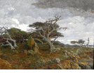 Pebble Beach<br><small>Detlef Sammann