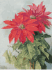 Poinsettia<br><small>Paul de Longpre