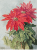 Poinsettia<br><small>Paul de Longpre