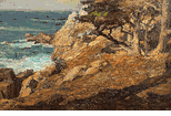 Point Lobos<br><small>Detlef Sammann