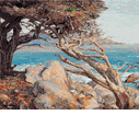 Point Lobos <br><small> Detlef Sammann