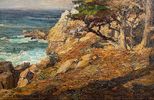 Point Lobos<br><small>Detlef Sammann