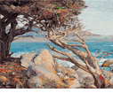 Point Lobos <br><small> Detlef Sammann