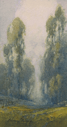 Click to enlarge