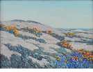 Poppies and Lupine Along the Coast<br><small>Granville Redmond