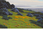 Poppies and Wild Lilac near Snyders, Santa Barbara<br><small>John Marshall Gamble