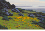 Poppies and Wild Lilac near Snyders, Santa Barbara<br><small>John Marshall Gamble