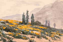 Click to enlarge