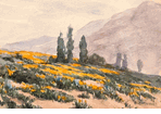Poppies<br><small>Benjamin C. Brown