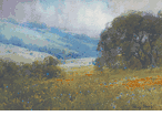 Poppies and Oaks with a View to the Pacific<br><small>Percy Gray