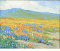 Poppy Field<br><small>Joane Cromwell