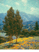 Poppyfield<br><small>Granville Redmond