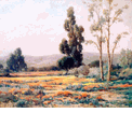 Poppyfield<br><small>Angel Espoy