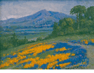 Poppyfield<br><small>W.F. Jackson