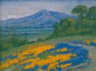 Poppyfield<br><small>W.F. Jackson