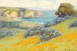 Poppyfields<br><small>John Marshall Gamble