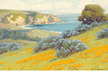 Poppyfields<br><small>John Marshall Gamble