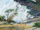Cypress Grove<br><small>William Ritschel