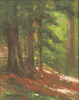 Redwood, Monterey<br><small>Henry Stuart Fonda
