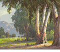 Rooted Silence<br><small>Paul Grimm