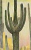 Saguaro<br><small>Frederick Wight