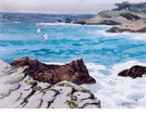 Seventeen Mile Drive, Carmel<br><small>Jade Fon (Woo)