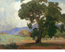 Shadowed Oaks<br><small>Hanson Puthuff