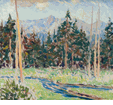 Sierra Spring <small><br> (ERS7) </small>
