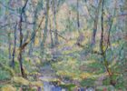 Spring in Muir Woods<br><small>Selden Gile