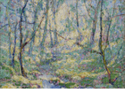 Spring in Muir Woods<br><small>Selden Gile