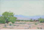 Spring in the Desert, Palm Springs<br><small>Anna Hills