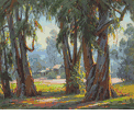 Stately Eucalypti<br><small>Paul Grimm