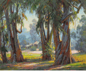 Stately Eucalypti<br><small>Paul Grimm