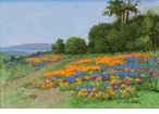 Poppy Fields<br><small>W.F. Jackson