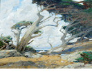 Cypress Grove<br><small>William Ritschel
