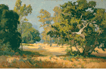 Summer Days, California Woodlands<br><small>Franz Bischoff