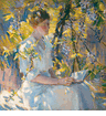 Summer Dreams<br><small>Donna Schuster