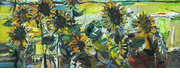 Sunflowers in the Field <br><SMALL>Robert Frame