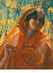 Sunlit Shawl<br><small>Donna Schuster