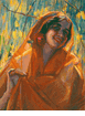 Sunlit Shawl<br><small>Donna Schuster