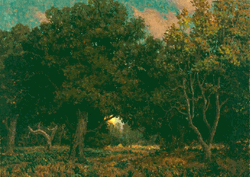 Click to enlarge