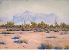 Superstition Mountains<br><small>Gunnar Widforss