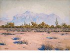 Superstition Mountains<br><small>Gunnar Widforss