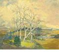 Sycamores<br><small>Thomas Mc Glynn