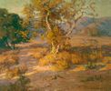 Sycamore in Autumn<br><small>Benjamin Brown