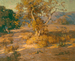 Click to enlarge