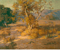 Sycamore in Autumn<br><small>Benjamin Brown