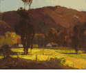 Sycamores, Flynn Springs<br><small>George Spangenberg